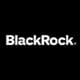 BlackRock Capital Allocation Trust stock logo