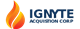 Ignyte Acquisition Corp. stock logo